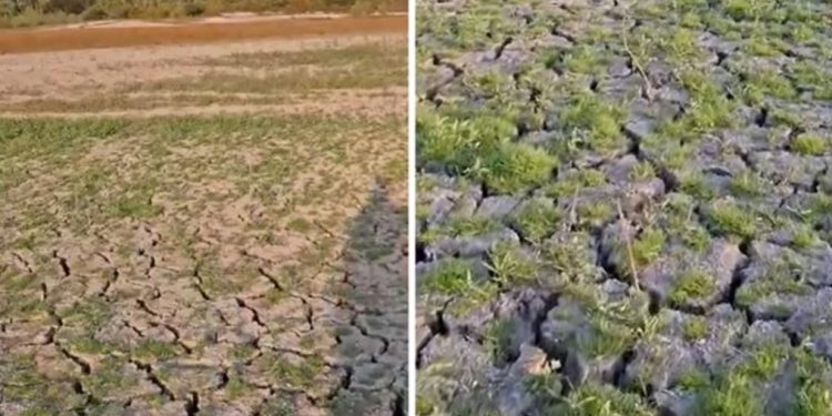 Наш язовир пресъхва Наш язовир пресъхва