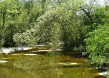 Пресъхва наша река