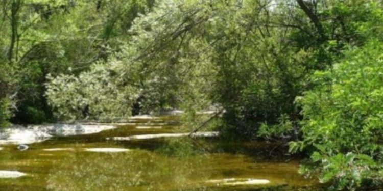 Пресъхва наша река