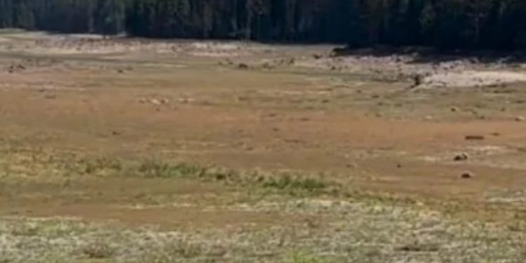 Мъж притесни за пълно пресъхване на наш язовир