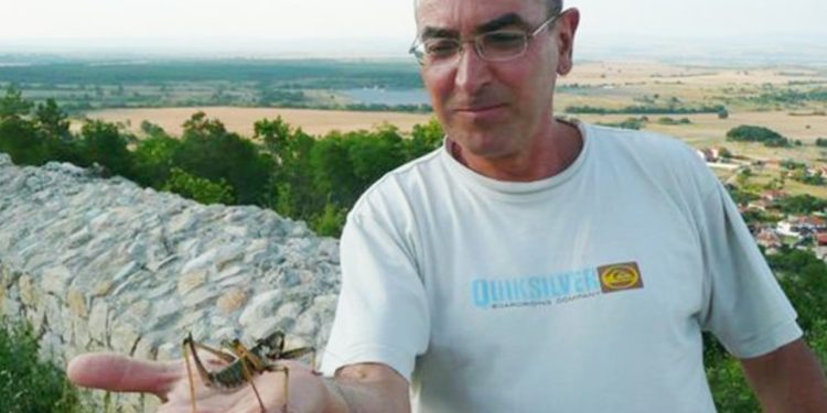 Изследовател откри най-големия скакалец в страната Изследовател откри най-големия скакалец в страната