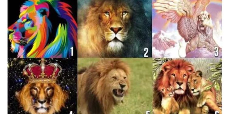 Ще откриете типа партньор, от който се нуждаете, просто като изберете Лъв