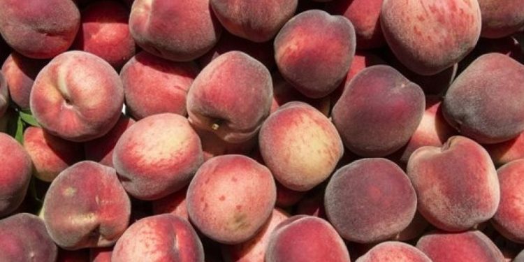 Баба ми направи този вкусен сладкиш с праскови и вече всяка неделя е на масата (Рецепта)