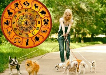 Ето кой е най-добрият домашен любимец за всяка зодия